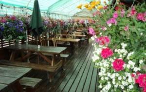 bc-canada-godrush-trail-to-alaska-21746134